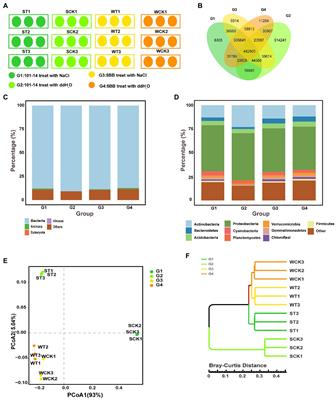 Comparative metagenomic analysis reveals rhizosphere microbial community composition and functions help protect grapevines against salt stress